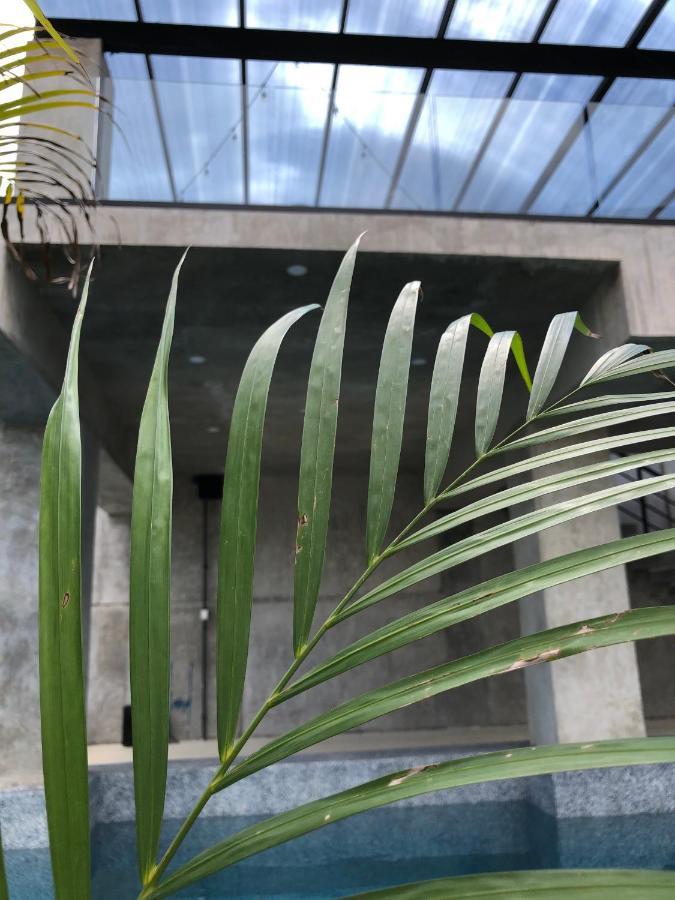 Hotel Suites La Negra Boutique Mérida Dış mekan fotoğraf
