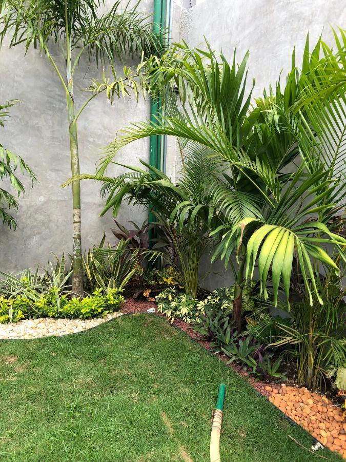 Hotel Suites La Negra Boutique Mérida Dış mekan fotoğraf